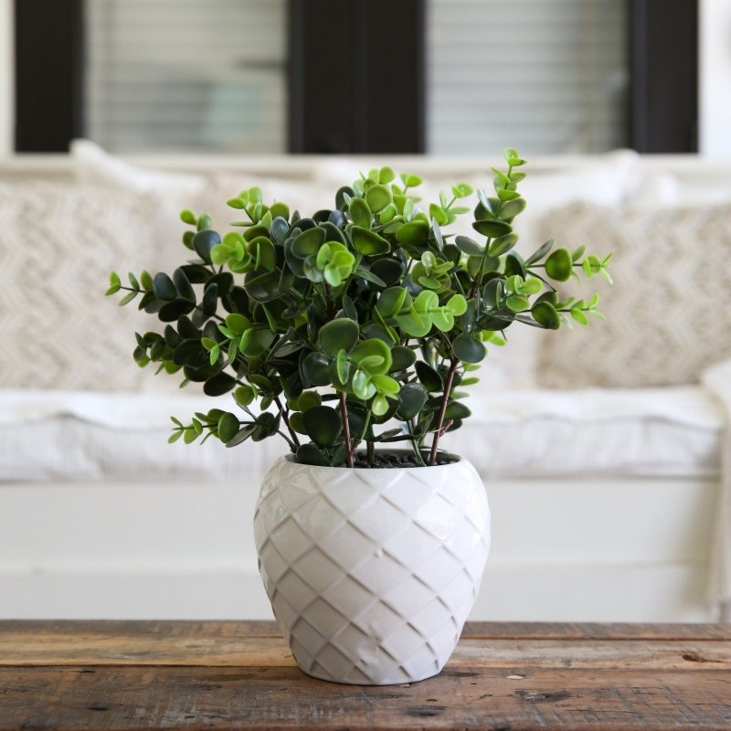11” Artificial Boxwood Plant with Decorative Planter - FCHF CITY