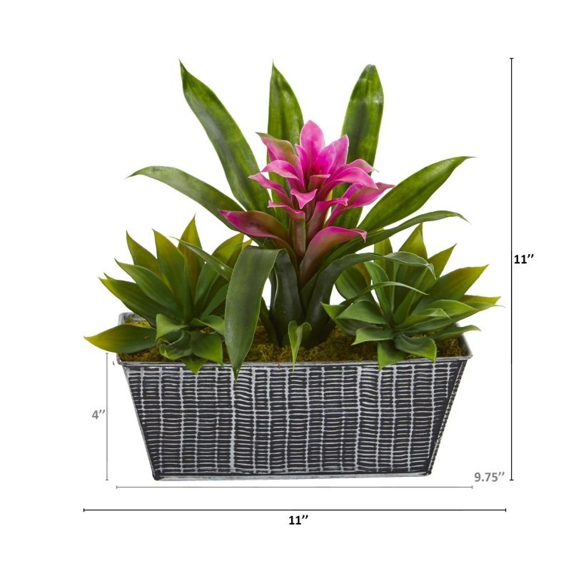 11” Bromeliad and Agave Plant in Black Tin Planter - FCHF CITY