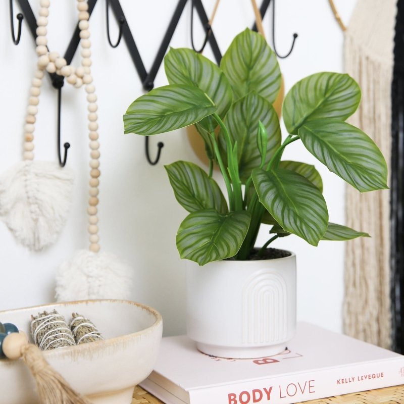 12" Artificial Calathea Plant with Decorative Planter - FCHF CITY