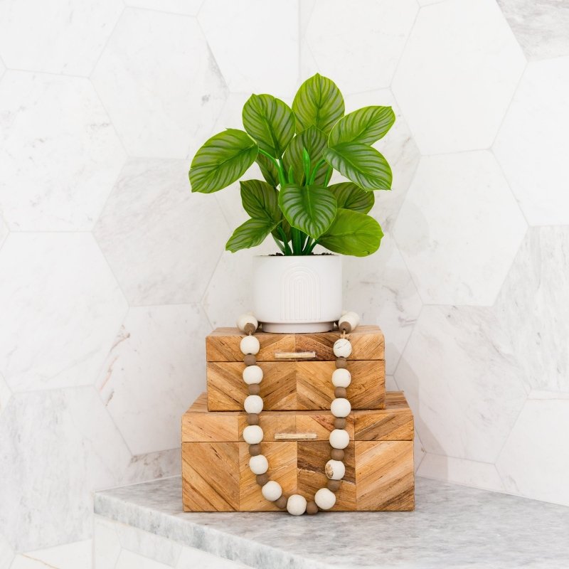 12" Artificial Calathea Plant with Decorative Planter - FCHF CITY