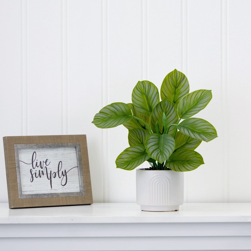 12" Artificial Calathea Plant with Decorative Planter - FCHF CITY