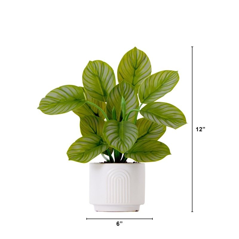 12" Artificial Calathea Plant with Decorative Planter - FCHF CITY