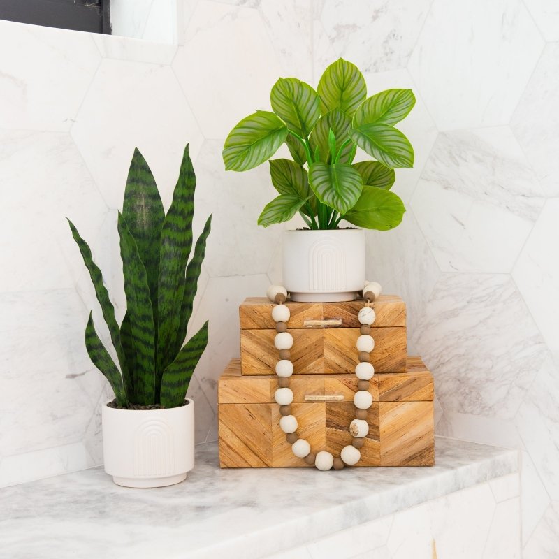 12" Artificial Calathea Plant with Decorative Planter - FCHF CITY