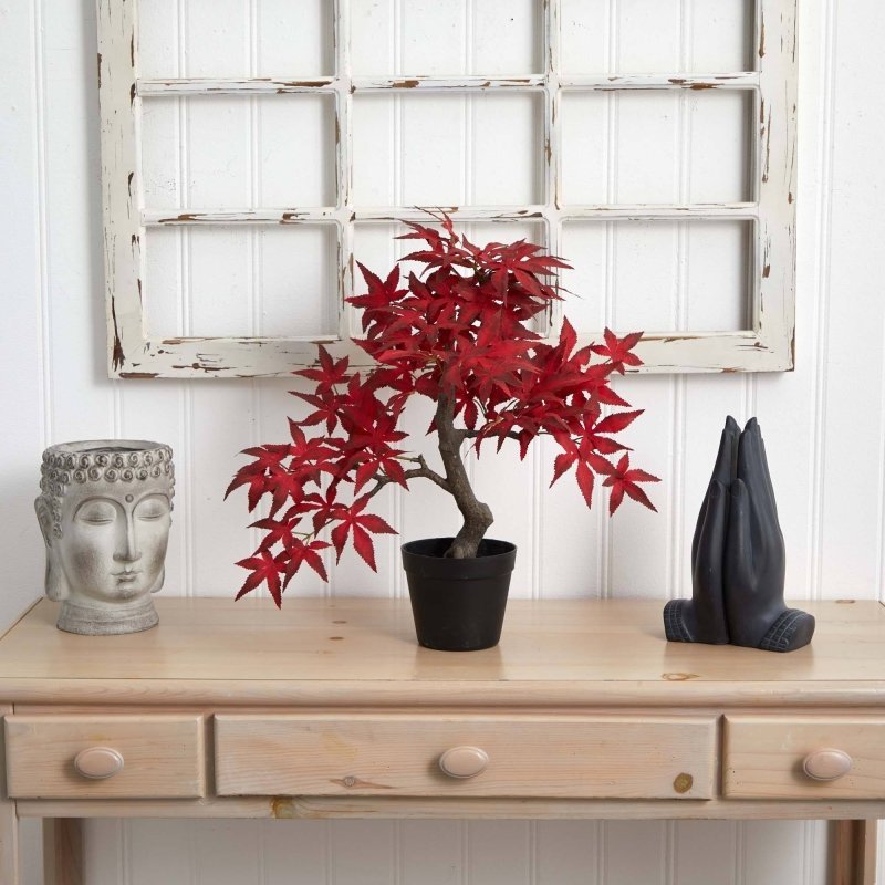 20” Autumn Maple Bonsai - FCHF CITY