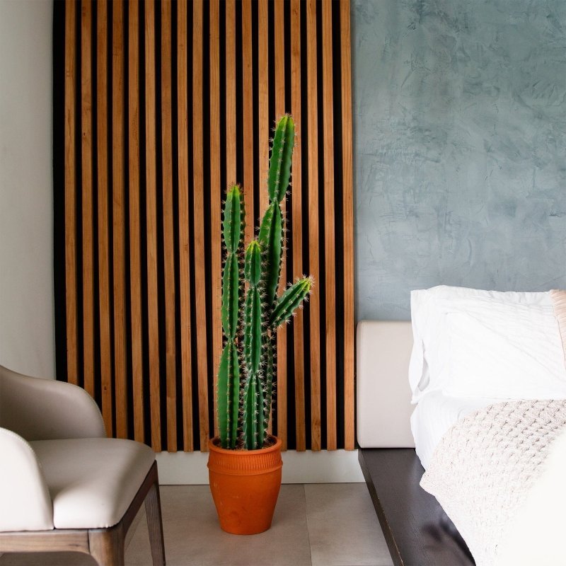5’ Artificial Cactus in Terracotta Planter - FCHF CITY