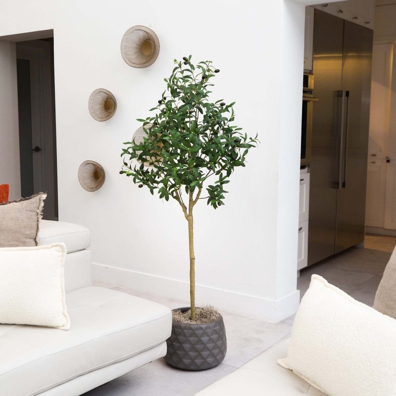 5’ Artificial Olive Tree - FCHF CITY