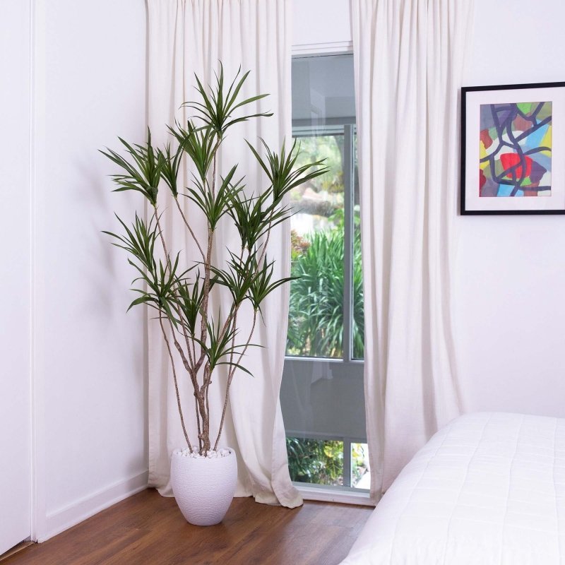 6’ Artificial Dracaena Tree - FCHF CITY