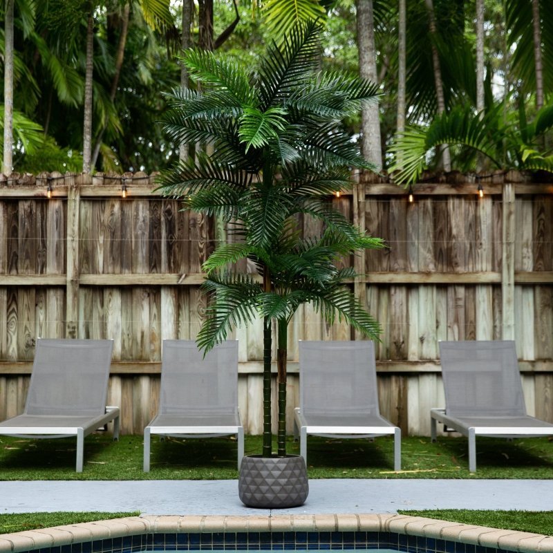 8’ UV Resistant Artificial Double Robellini Palm Tree (Indoor/Outdoor) - FCHF CITY
