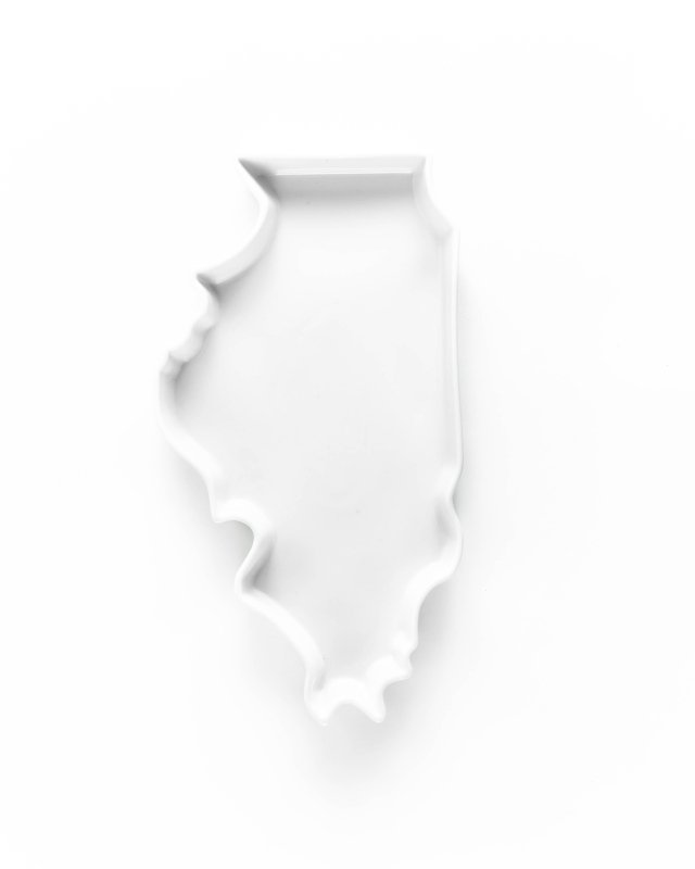 Illinois State Plate - FCHF CITY