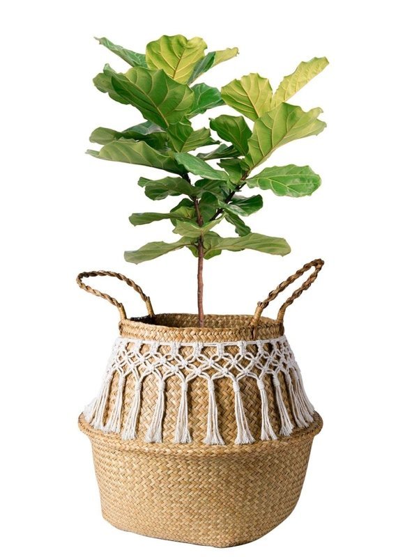 Large Wicker Basket - FCHF CITY