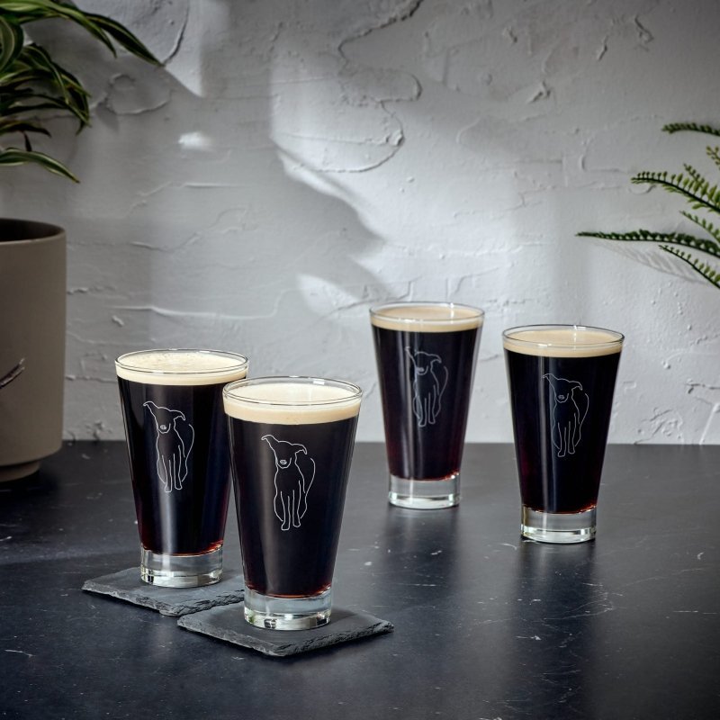 Libbey Modern Pets Arlo Tumbler Drinking Glasses, 14 ounce, Set of 4 - FCHF CITY