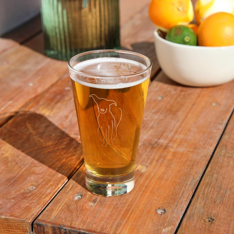 Libbey Modern Pets Arlo Tumbler Drinking Glasses, 14 ounce, Set of 4 - FCHF CITY