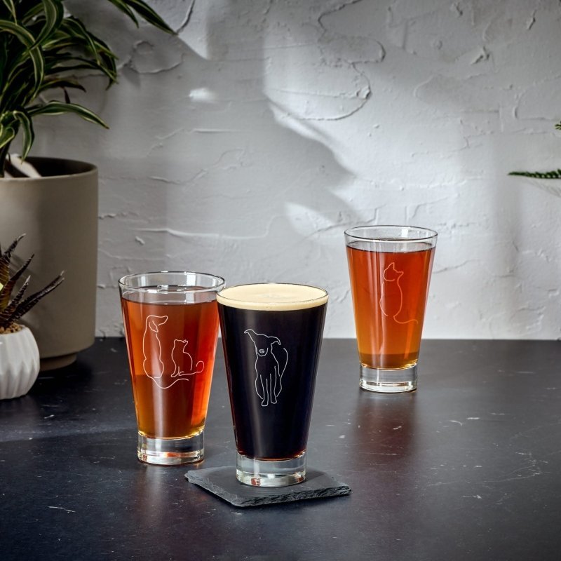 Libbey Modern Pets Simon Tumbler Drinking Glasses, 14 ounce, Set of 4 - FCHF CITY