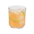 Libbey Paneled Double Old Fashioned Rocks Glasses, 11.2 - ounce, Set of 6 - FCHF CITY