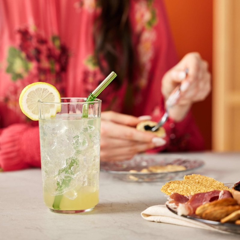 Libbey Paneled Tumbler Drinking Glasses, 17 ounce, Set of 6 - FCHF CITY