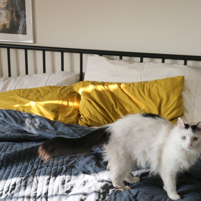 Linen+ Quilted Coverlet - FCHF CITY