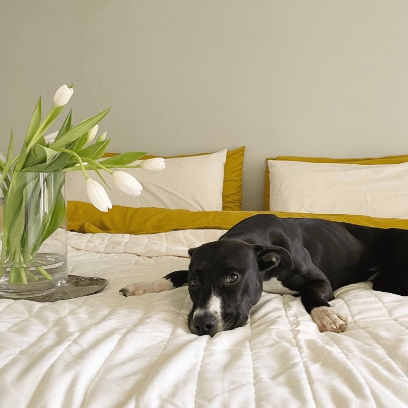 Linen+ Quilted Coverlet - FCHF CITY