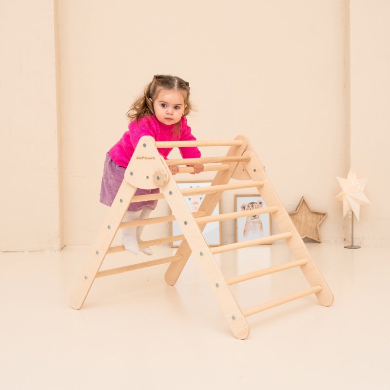 Montessori Foldable Triangle - FCHF CITY