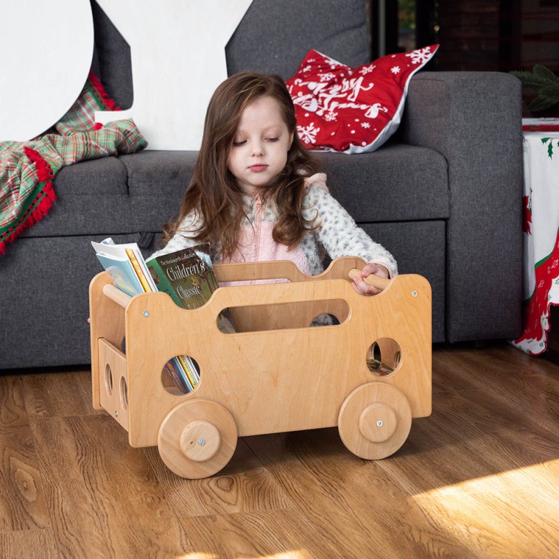 Montessori Toy Organizer - FCHF CITY