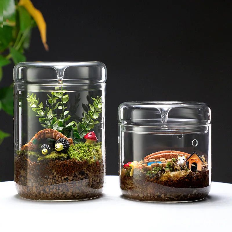 Perforated Moss Greenhouse Cup - FCHF CITY