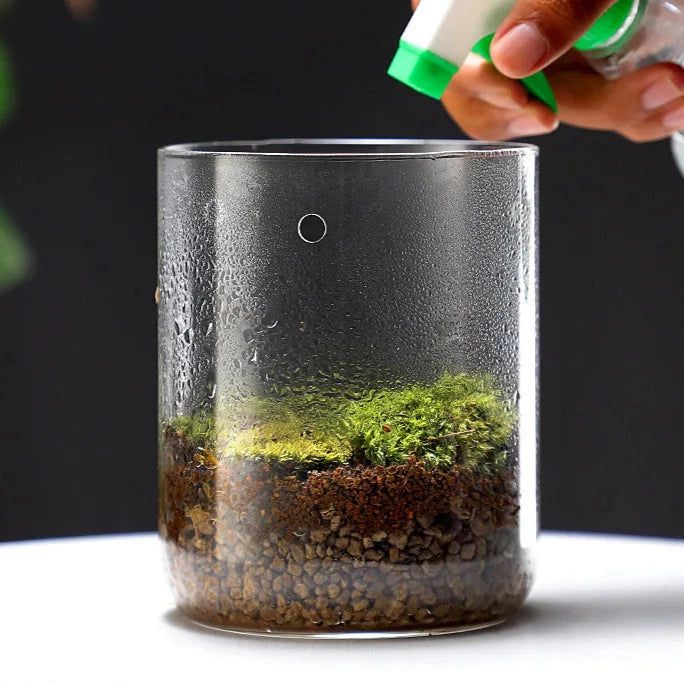 Perforated Moss Greenhouse Cup - FCHF CITY