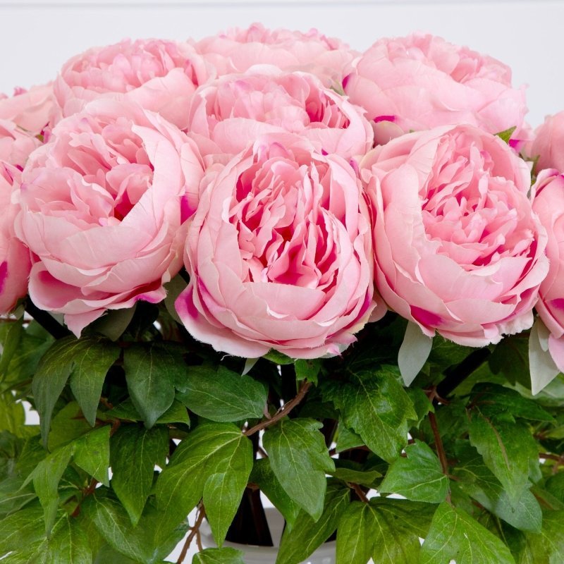 Signature Collection 20” Peony Artificial Arrangement in White Glass Vase - FCHF CITY