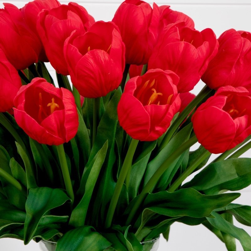Signature Collection 24” Tulip Artificial Arrangement in Glass Vase - FCHF CITY