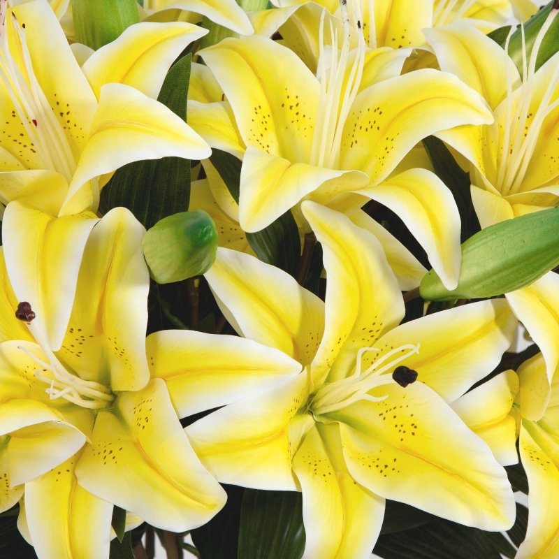 Signature Collection 29” Lily Artificial Arrangement in Glass Vase - FCHF CITY