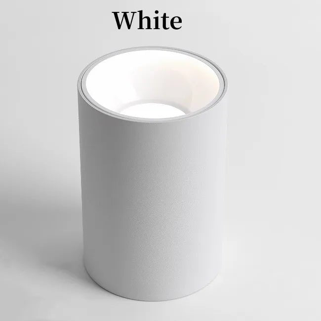 Tectolum Round COB Ceiling Bulbs Lamp - FCHF CITY