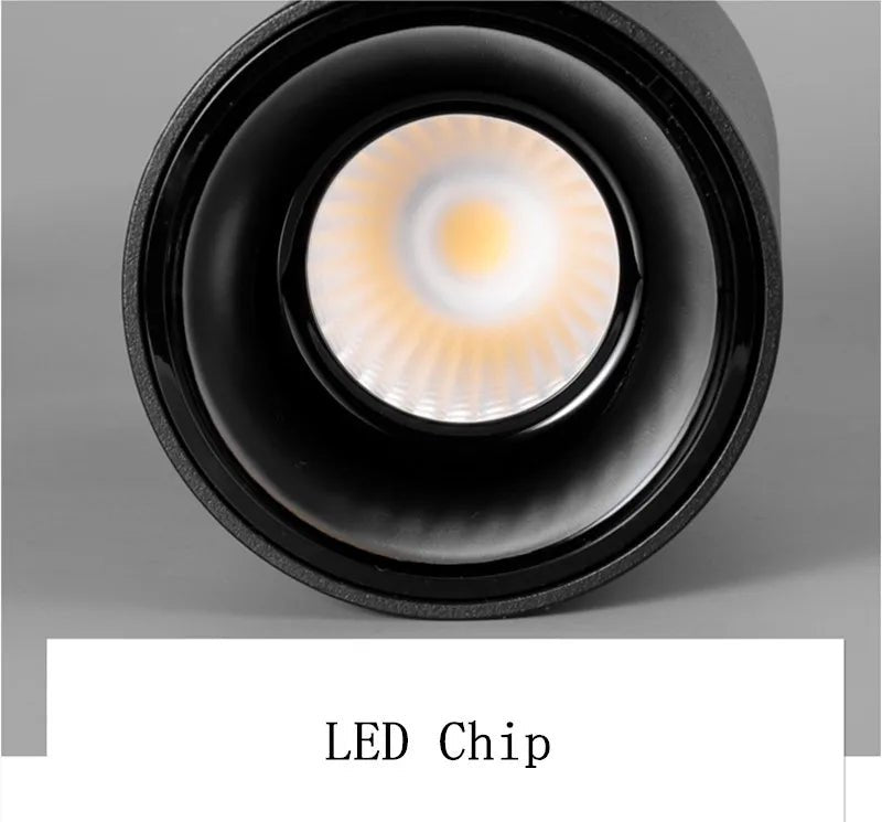 Tectolum Round COB Ceiling Bulbs Lamp - FCHF CITY