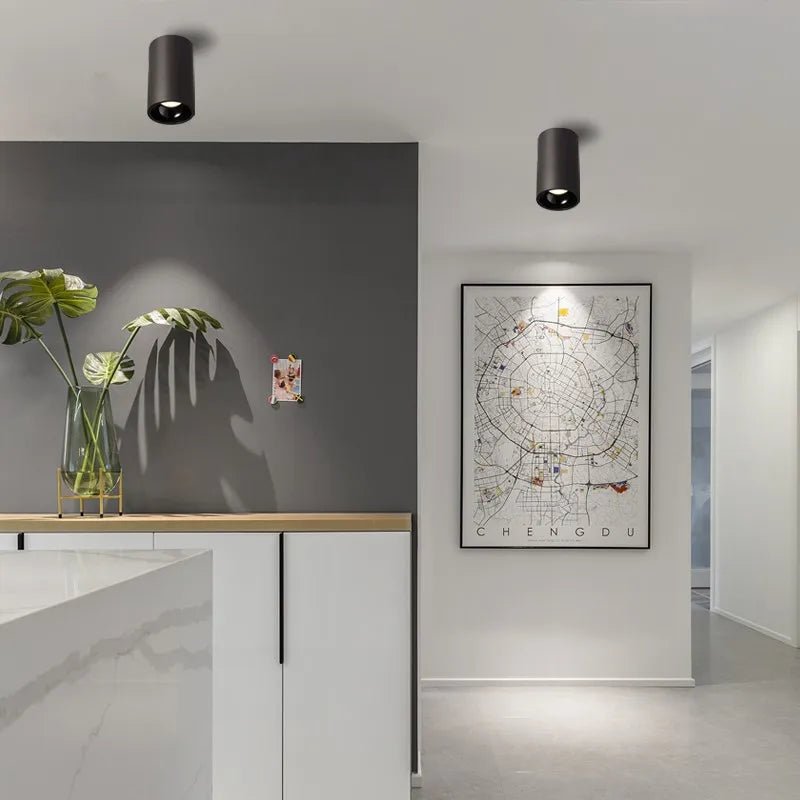 Tectolum Round COB Ceiling Bulbs Lamp - FCHF CITY