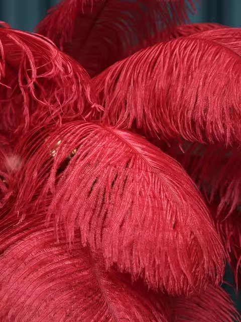 Tieri Feather Chandelier - FCHF CITY