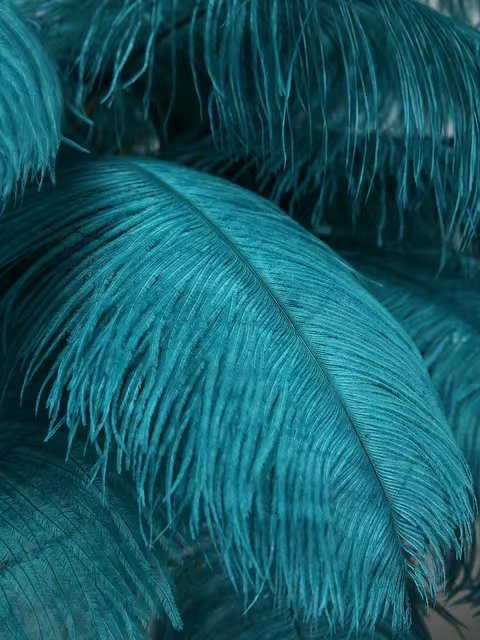 Tieri Feather Chandelier - FCHF CITY