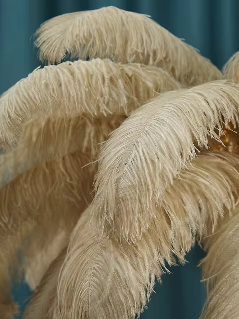 Tieri Feather Chandelier - FCHF CITY