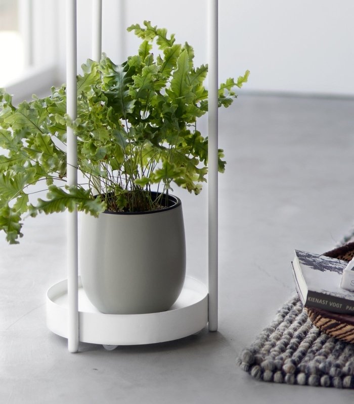 Two - Tier Rolling Plant Stand (28" H) - Steel - FCHF CITY