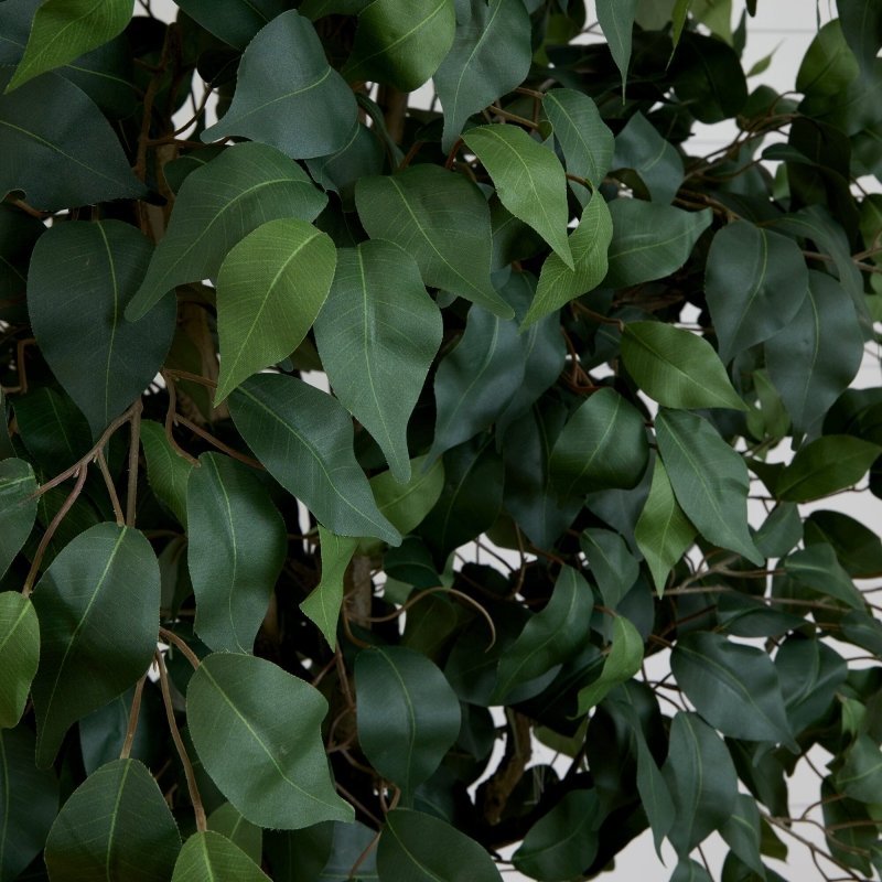 10’ Artificial Ficus Tree - FCHF CITY