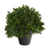 10” Boxwood Topiary Artificial Plant UV Resistant (Indoor/Outdoor) - FCHF CITY