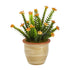 10” Flowering Sedum Succulent Artificial Plant in Ceramic Planter - FCHF CITY
