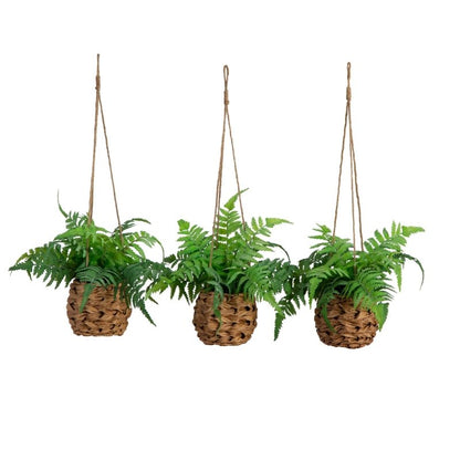 10” UV Resistant Artificial Boston Fern in Hanging Wicker Basket (Indoor/Outdoor) - Set of 3 - FCHF CITY
