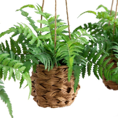 10” UV Resistant Artificial Boston Fern in Hanging Wicker Basket (Indoor/Outdoor) - Set of 3 - FCHF CITY