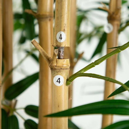 11’ Artificial Bamboo Tree with Real Bamboo Trunks - FCHF CITY