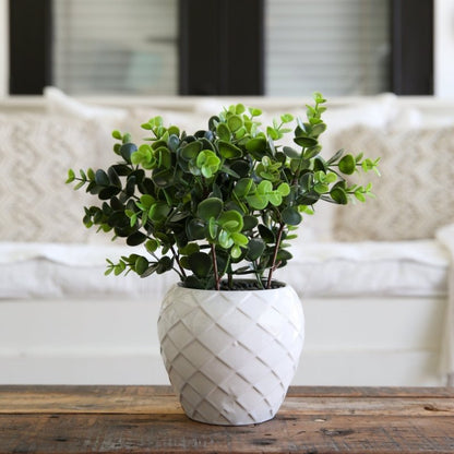 11” Artificial Boxwood Plant with Decorative Planter - FCHF CITY