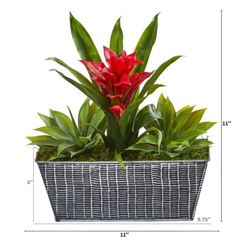 11” Bromeliad and Agave Plant in Black Tin Planter - FCHF CITY