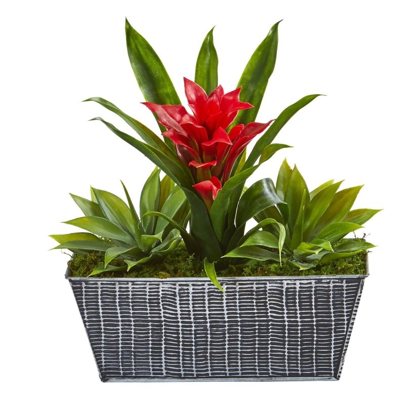 11” Bromeliad and Agave Plant in Black Tin Planter - FCHF CITY