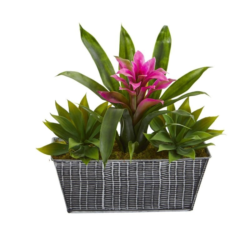 11” Bromeliad and Agave Plant in Black Tin Planter - FCHF CITY