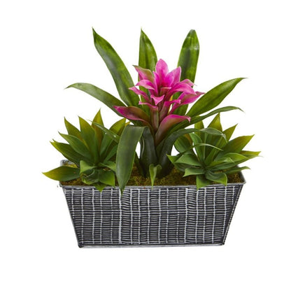 11” Bromeliad and Agave Plant in Black Tin Planter - FCHF CITY