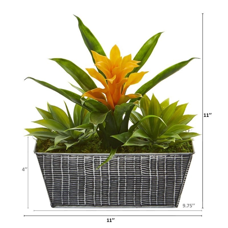 11” Bromeliad and Agave Plant in Black Tin Planter - FCHF CITY