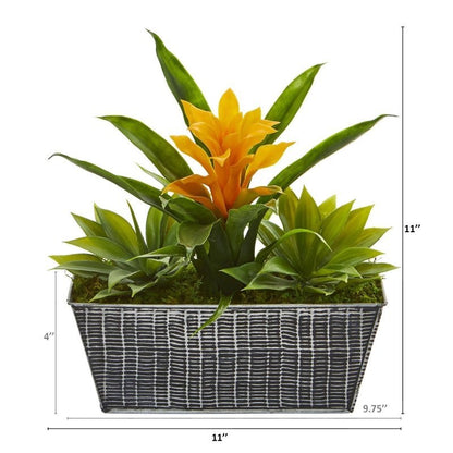 11” Bromeliad and Agave Plant in Black Tin Planter - FCHF CITY