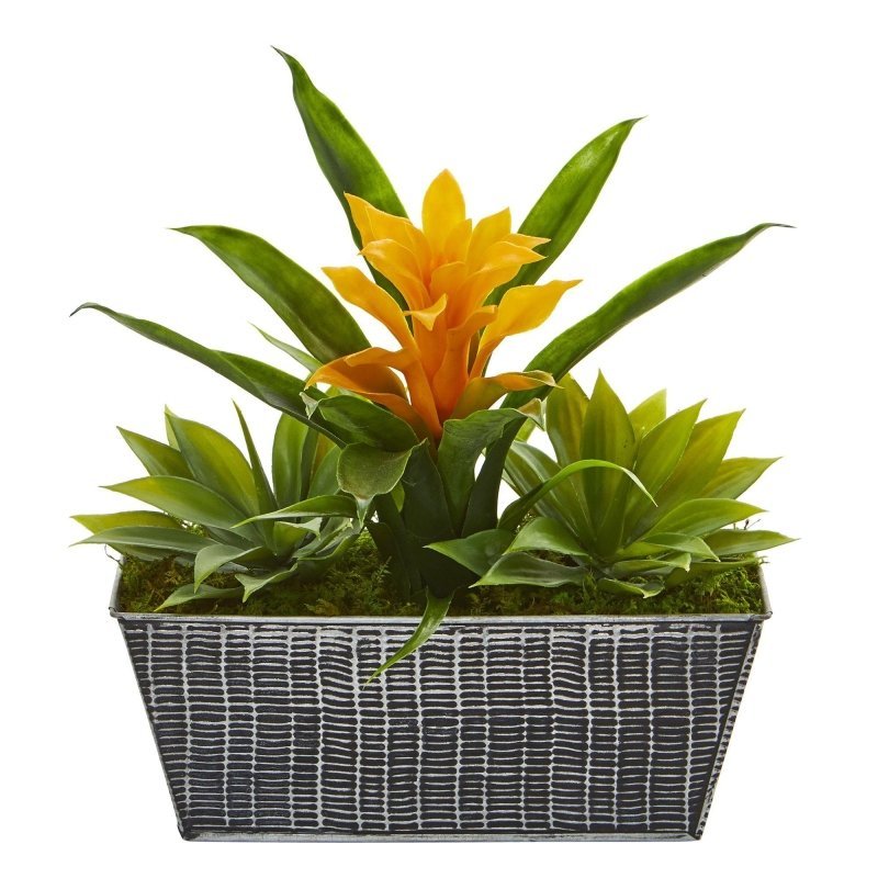 11” Bromeliad and Agave Plant in Black Tin Planter - FCHF CITY