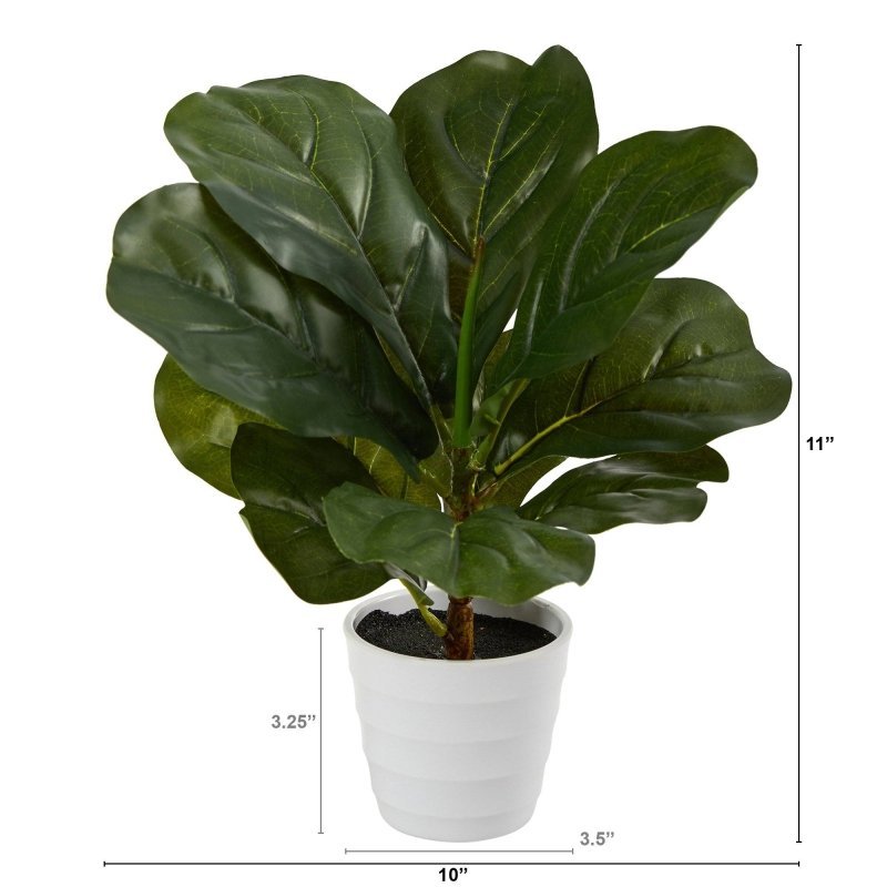 11” Fiddle Leaf Artificial Plant in White Planter (Real Touch) - FCHF CITY